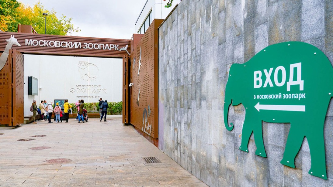 Парковка для экскурсионных автобусов появится около Московского зоопарка 