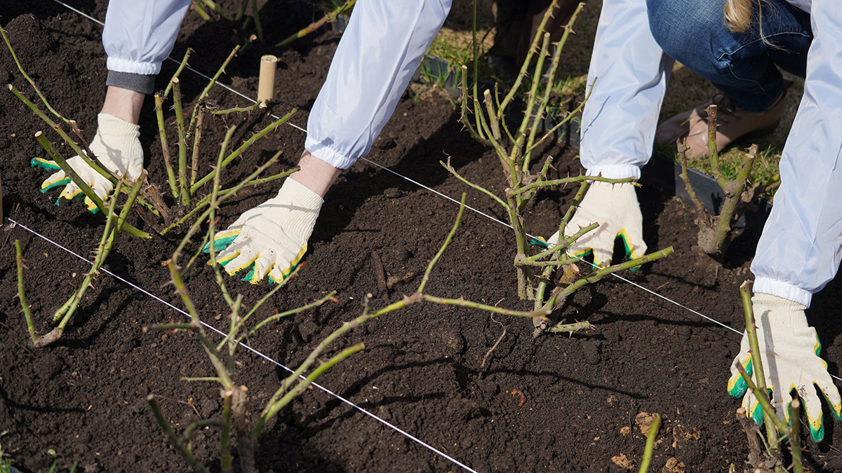 Москвичи могут прийти на субботник 20 апреля и получить баллы «Города заданий»