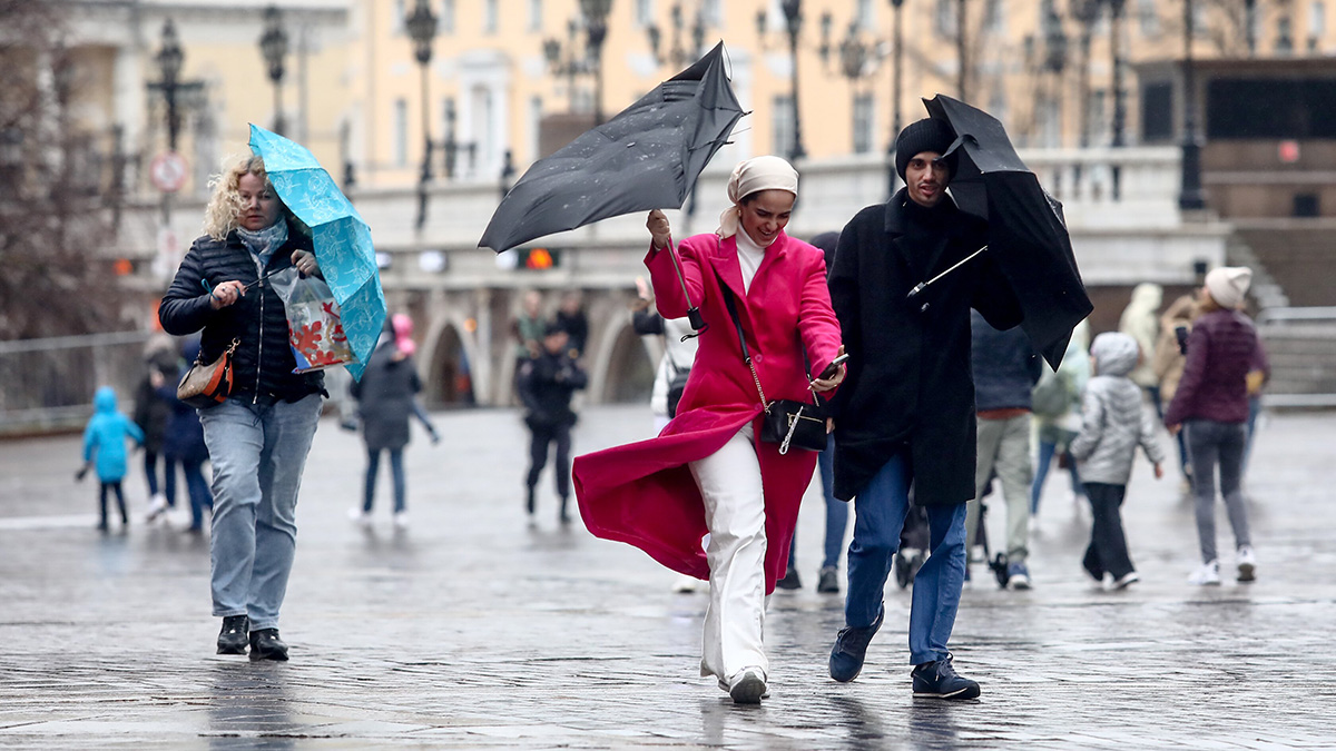 «Желтый» уровень опасности объявили в Московском регионе из-за ветра
