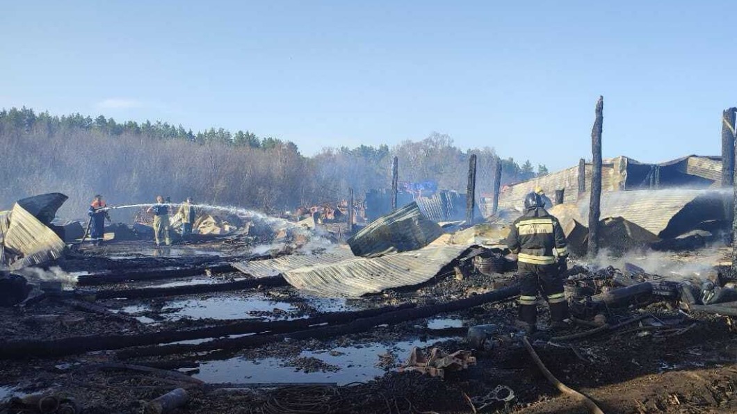 Животные погибли при крупном пожаре в деревне в Башкортостане