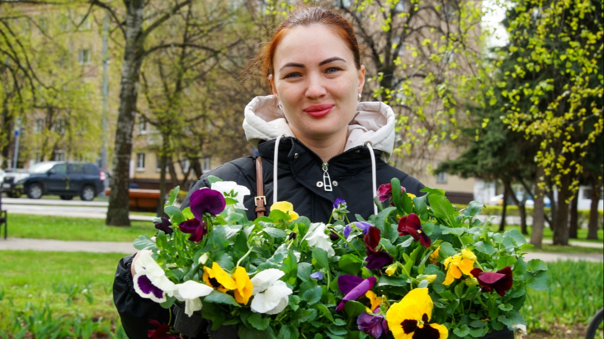 Замдиректора ГКУ «Дирекция ЖКХ и благоустройства СВАО» Екатерина Афонина высаживает виолы в Лосиноостровском районе.