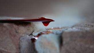 Погибший в школе в Одинцове мальчик отвлекал нападавшего от других детей