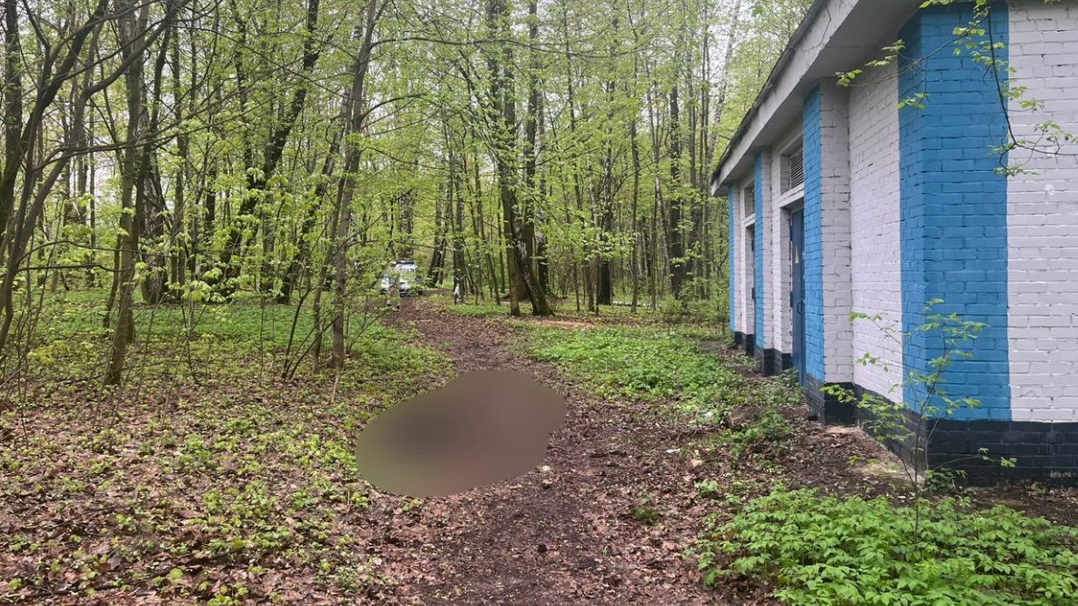 Москвич убил приятеля после катания на самокатах в парке «Сокольники»