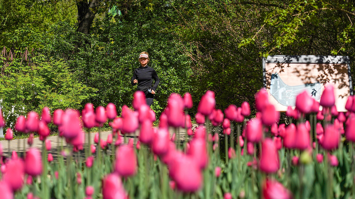 Понедельник стал самым теплым днем с начала года в Москве