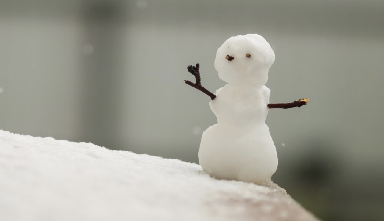 «Оранжевый» уровень опасности введут в Подмосковье из-за заморозков в ночь на 8 мая