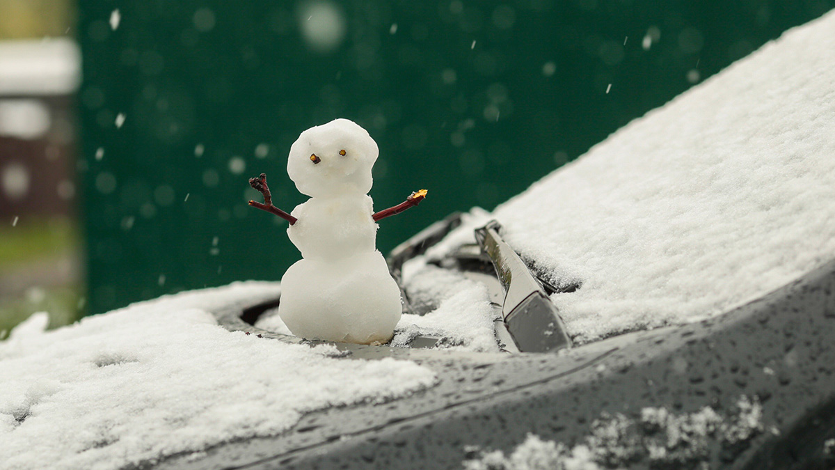 Вильфанд сообщил, что с 5 ноября снег покроет более 85 процентов территории РФ