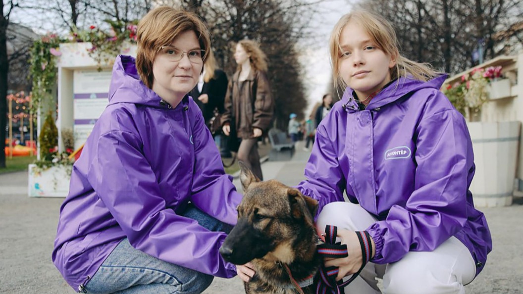 Погулять и привезти корм: москвичей пригласили присоединиться к выездам в приюты