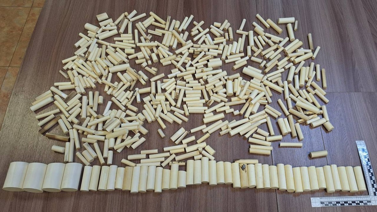 Китаянка пыталась пронести шесть килограммов бивней мамонтов через таможню