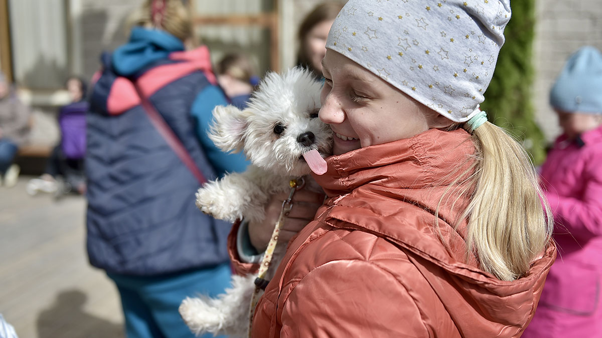 ИИ, диджитал-карты, тесты на совместимость: как выбрать собаку с помощью технологий