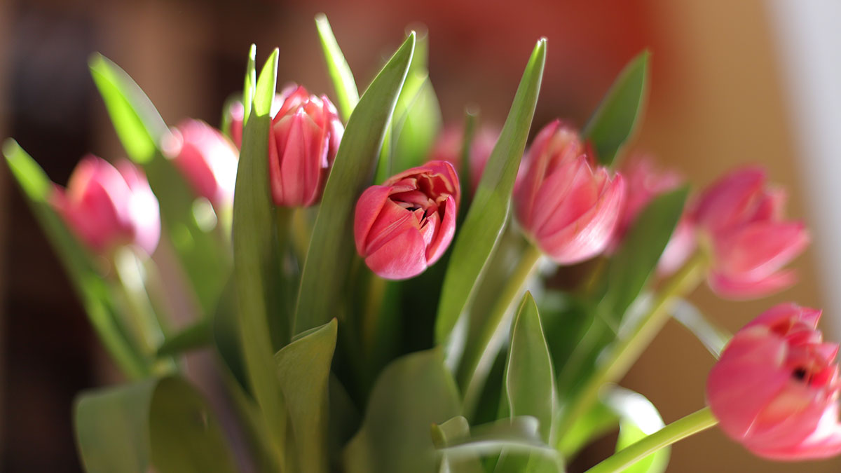 Что не стоит дарить девушке на 8 Марта