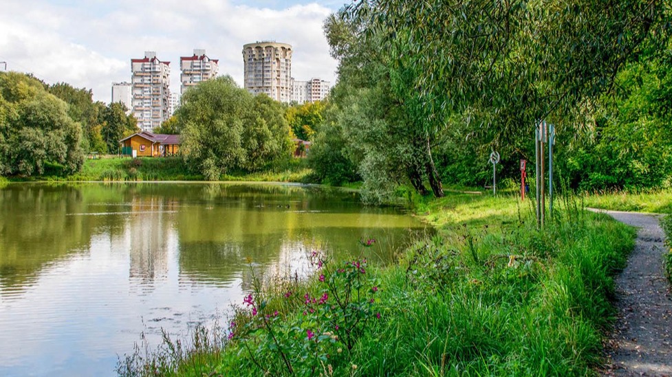 В Москве создан экспертный совет по сохранению и развитию «Лосиного острова» 