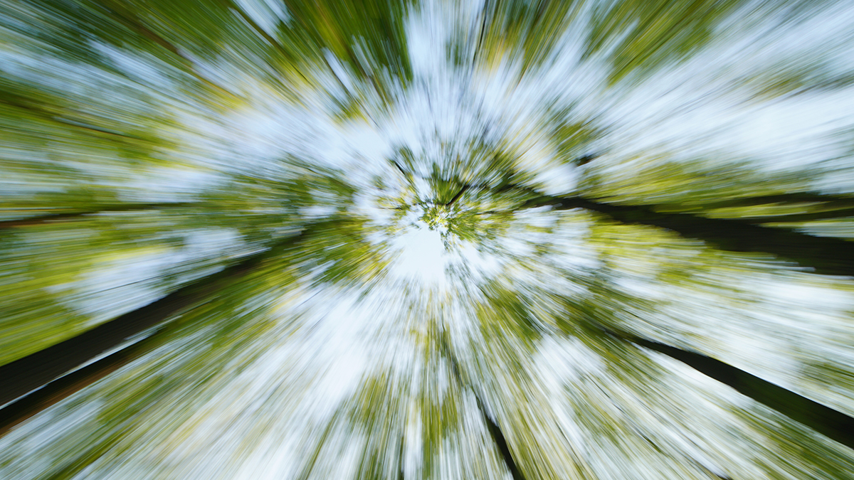 Эксперт Халилов назвал пять главных правил подготовки к походу в лес 