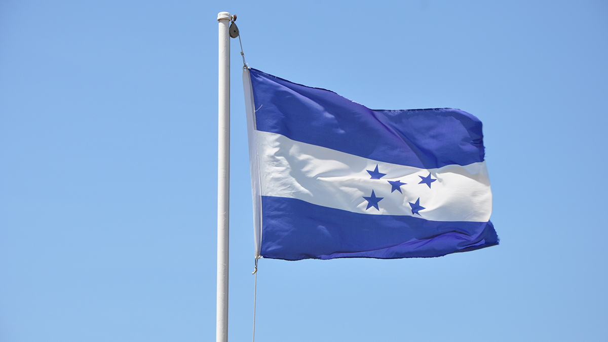 Насралла поймал на жульничестве Насри