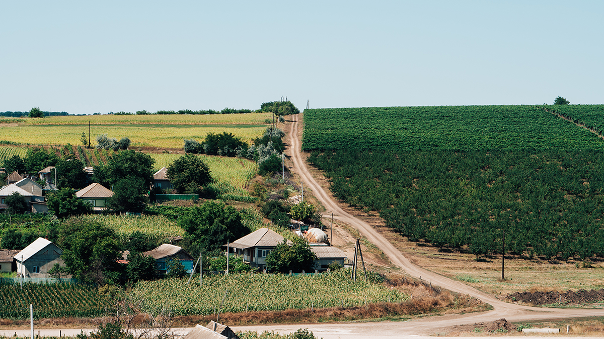 DM: В Молдавии спустя четыре дня спасли закопанного заживо 62-летнего мужчину