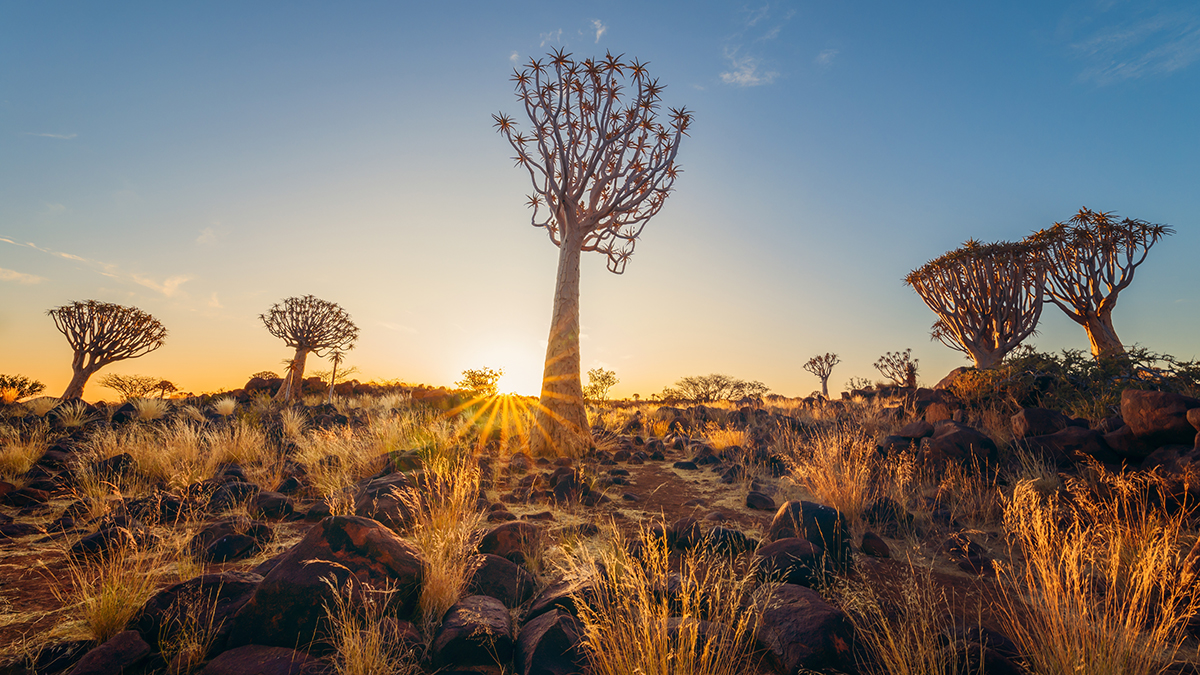 Borkena: Испанец не выжил при перестрелке в национальном парке в Южной Эфиопии