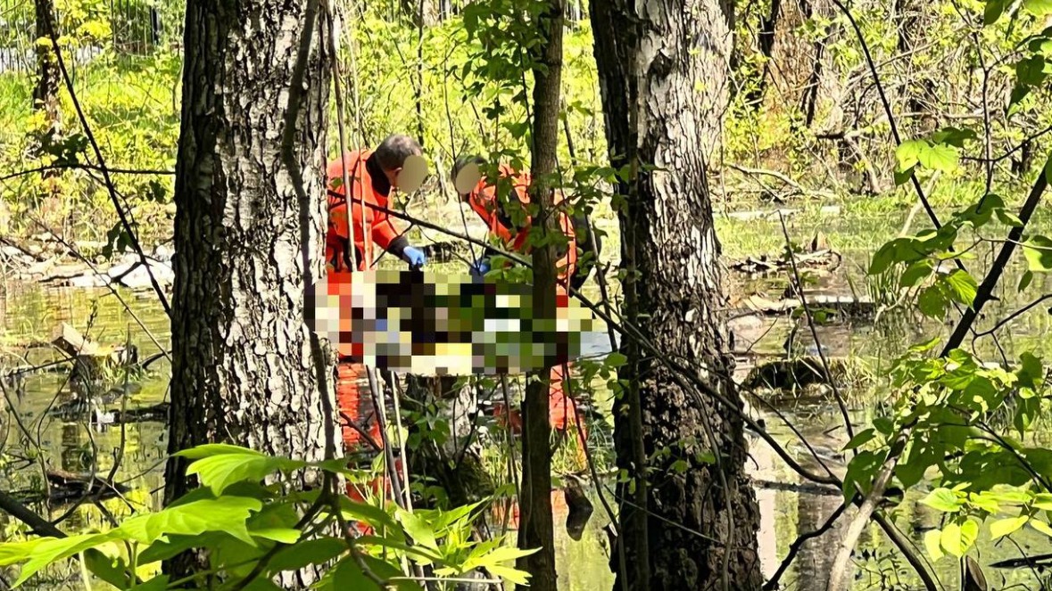 В болоте, с отравлением: что известно о найденной в Измайловском парке 13-летней девочке