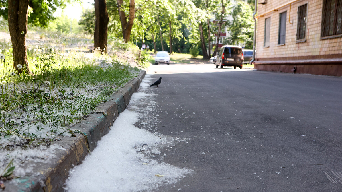 Автоэксперт рассказал о том, чем опасен тополиный пух для автомобилистов