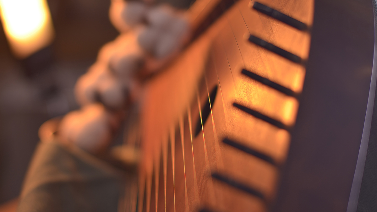 Москвичка вызвала спасателей, чтобы освободить застрявший в гуслях палец