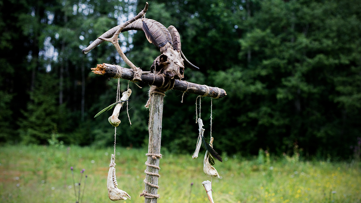 Четыре человека погибли в ДТП в Индии, возвращаясь с ритуала жертвоприношения