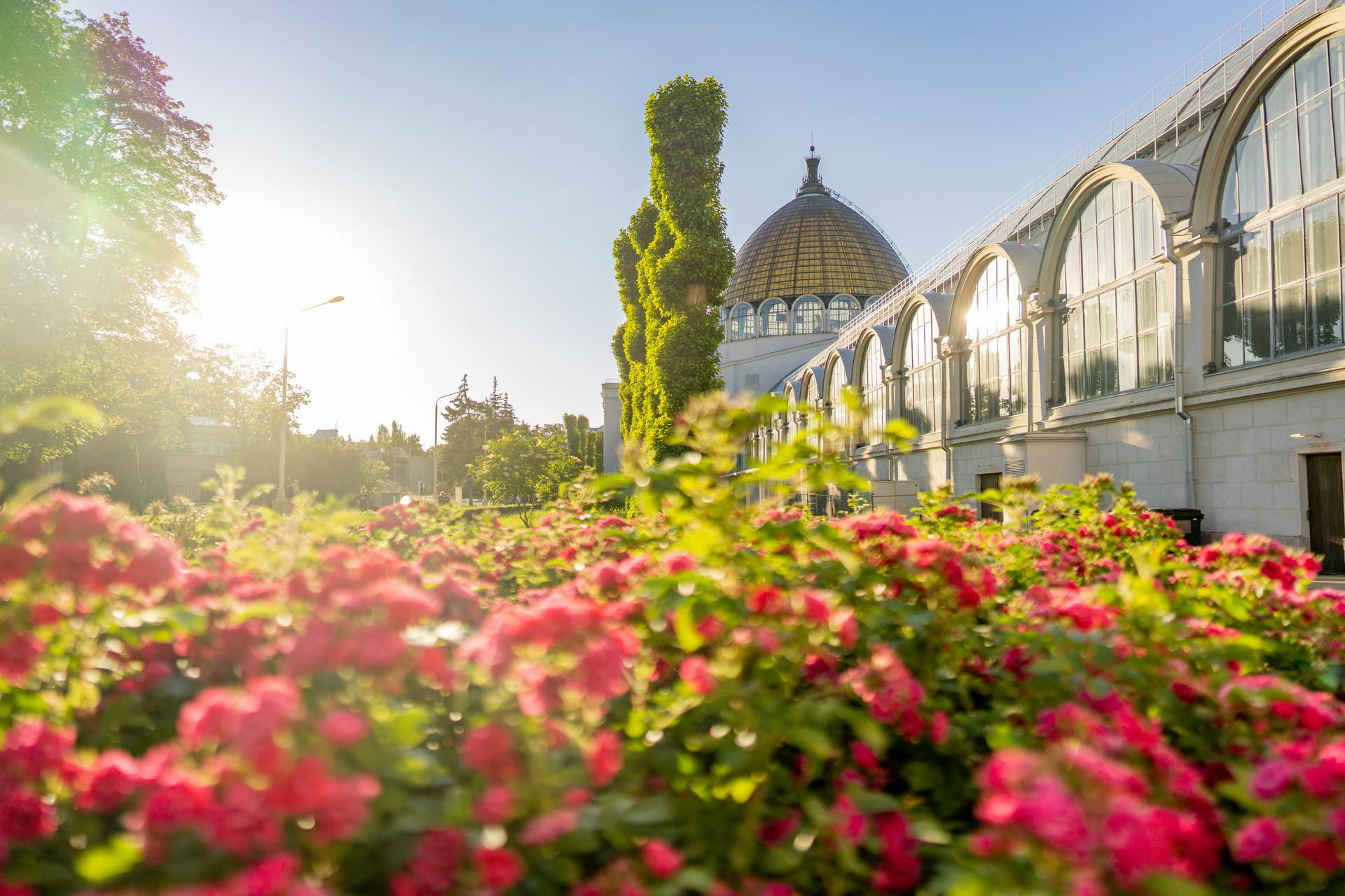 Наталья Сергунина: Серия голосований «Вот это Москва!» собрала уже более 700 тысяч мнений горожан