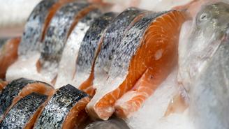 Как употребление рыбы влияет на умственные способности