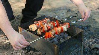 Террористам «Крокуса» приказали пожарить шашлыки в лесополосе для конспирации