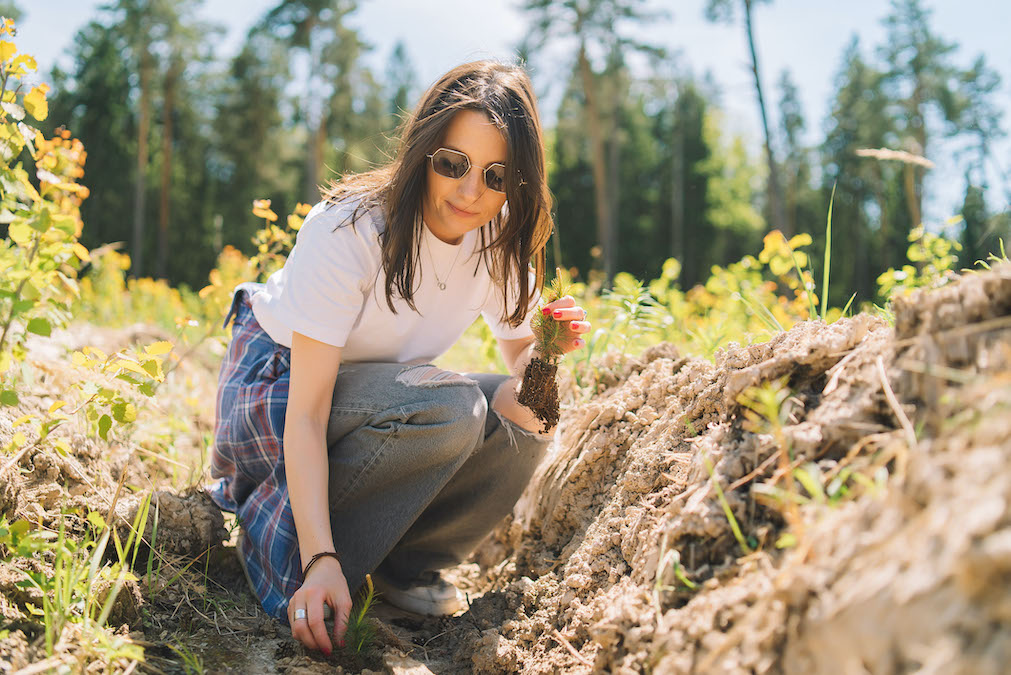 Волонтеры посадили три тысячи молодых деревьев в Подмосковье и Санкт-Петербурге
