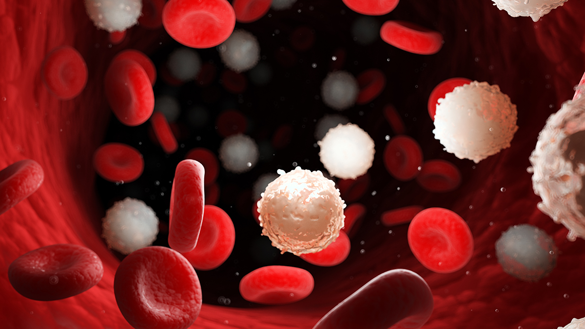 Терапевт Бузуверова объяснила, почему может повышаться или понижаться уровень лейкоцитов