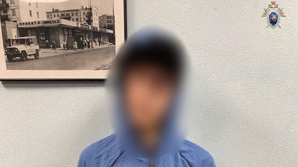 Двое хулиганов избили подростка в Солнцеве