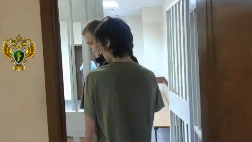 Суд арестовал подростка, обвиняемого в покушении на двойное убийство в Балашихе
