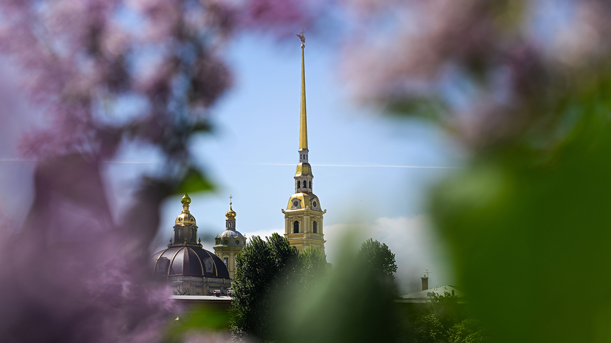 Петербуржцев пригласили обсудить новые правила застройки города