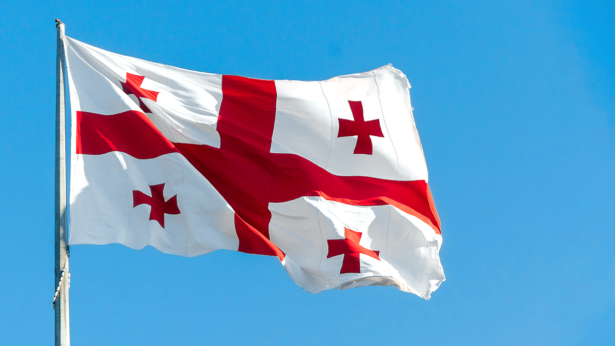 Выборы президента Грузии завершились