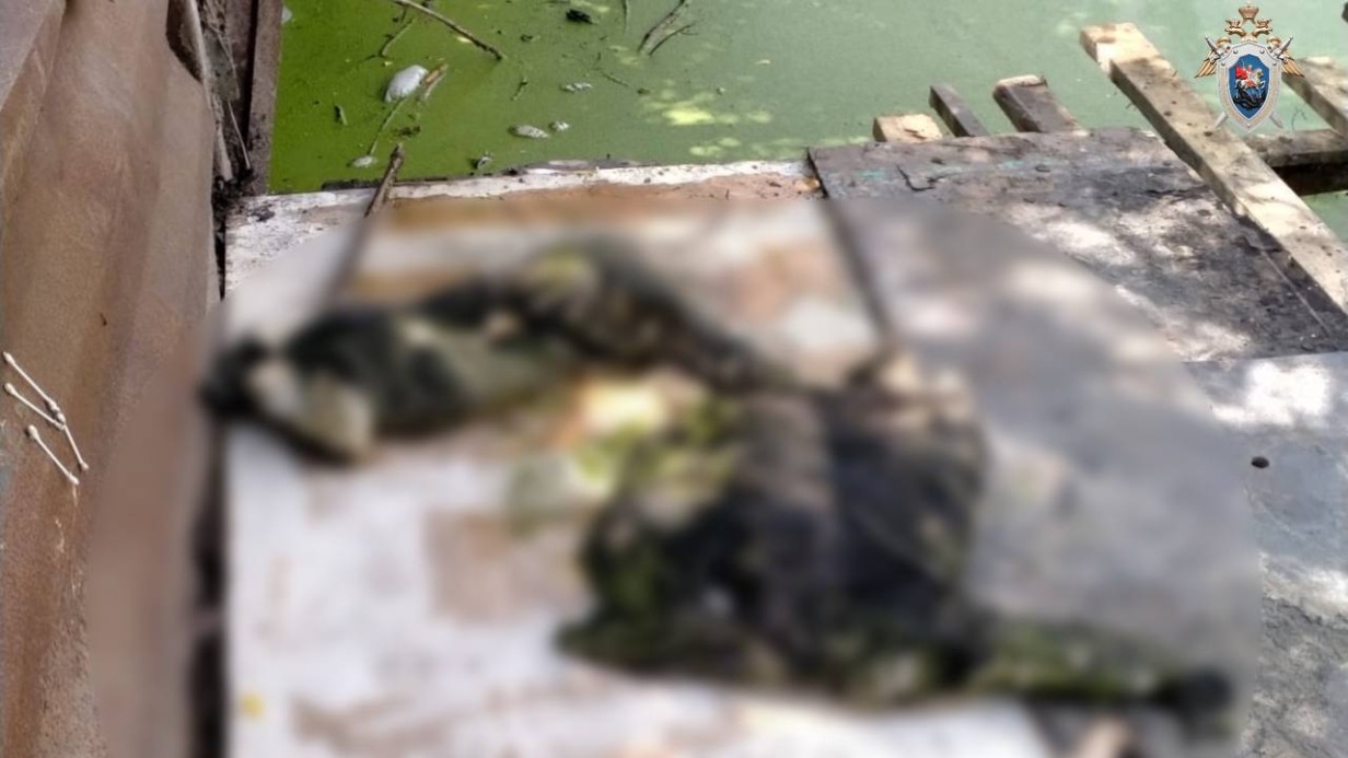 Человеческие останки обнаружили на дне водоема в Новой Москве