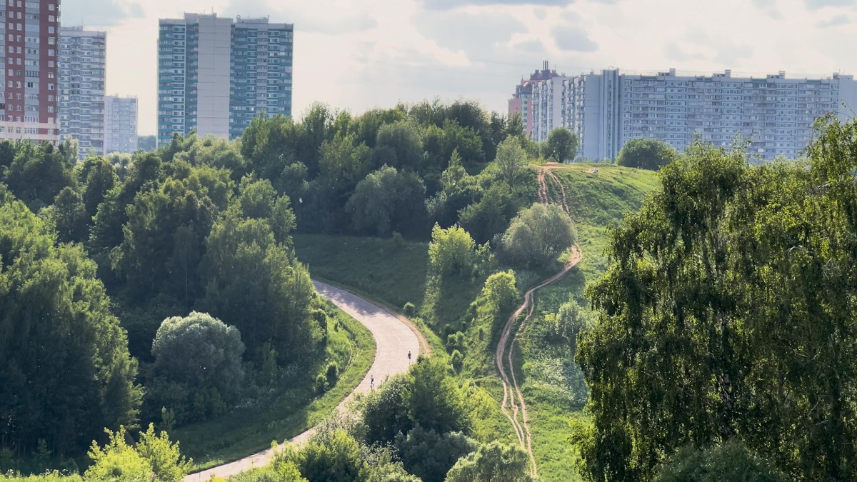 Эксперт рассказала о важности развития спортивных кластеров 