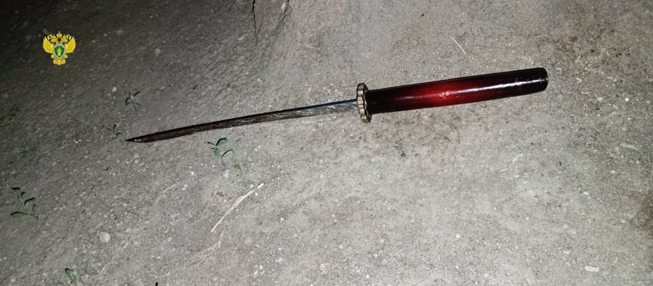 Мужчина в Москве убил катаной возлюбленного своей бывшей жены