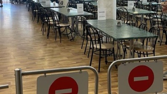 Заразились от сотрудников: что известно о массовом отравлении детей в парк-отеле в Истре