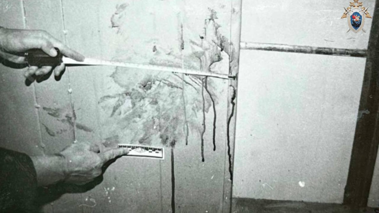 Следователи раскрыли убийство москвича, совершенное в 2003 году