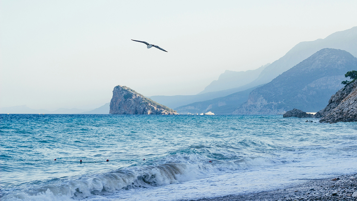 В Турцию за 40 тысяч: самые выгодные направления для отдыха в июле