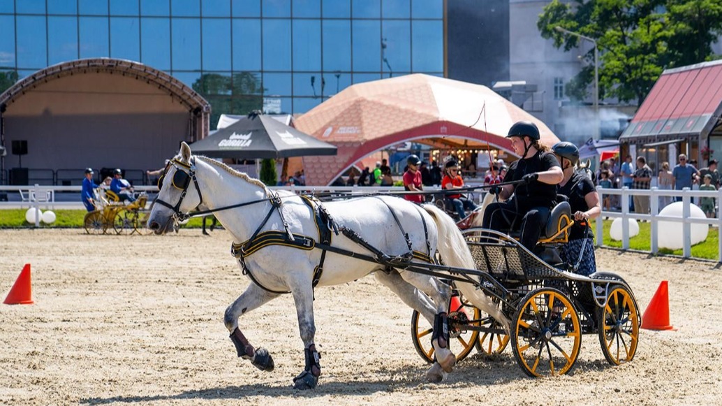 Соревнования по конному спорту пройдут на ВДНХ с 14 по 16 июня