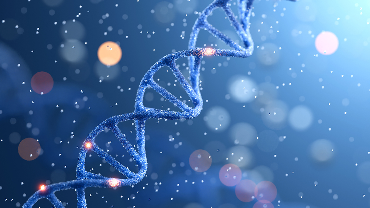 ДНК зверски убитых воинов прочитали российские ученые