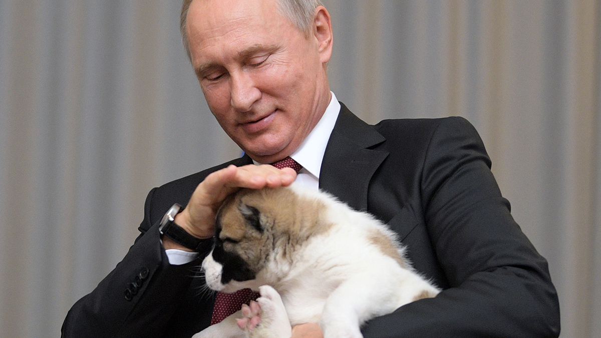 Тигр и северный олень: каких животных дарили Владимиру Путину