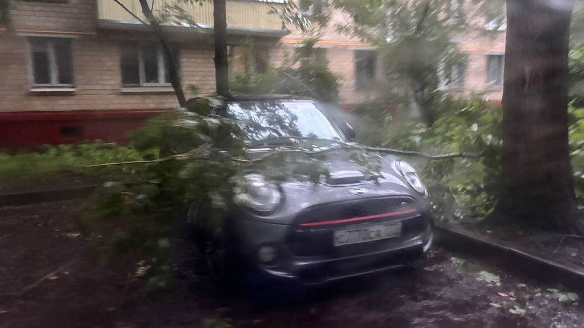 «Валит деревья и сносит крыши»: ураган дошел до Москвы