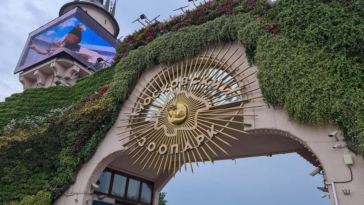 Спасенного в Донбассе медведя Грома перевезли в Московский зоопарк