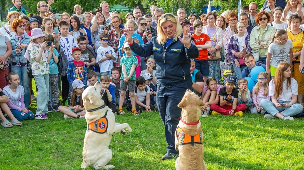В парке 850-летия Москвы пройдут показательные выступления собак-поисковиков