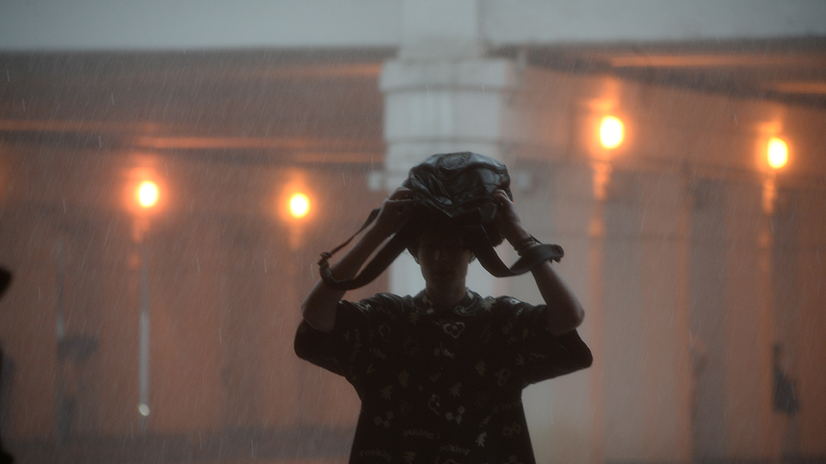 Синоптик Леус: Около 70 процентов месячной нормы осадков выпало в районе Внуково