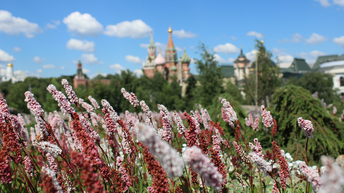 Миронов: Концерты «Зарядье» — детям» приучают юных горожан к классической музыке