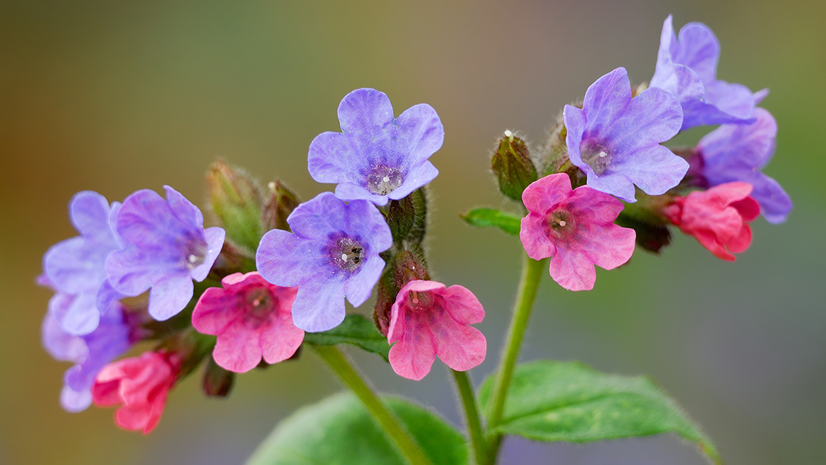Народные приметы на 26 апреля 2026 года