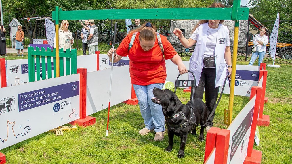«Лето в Москве»: в Вешняках пройдут выступления кинологов с собаками