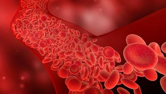 Какие продукты полезны для сосудов