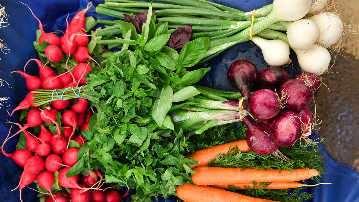 Врач Арсланова назвала восемь групп продуктов для укрепления иммунитета осенью